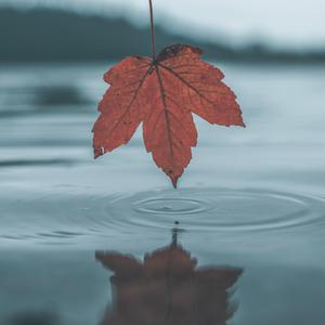 美女大逼被操视频
